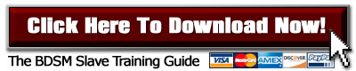 BDSM Training Button